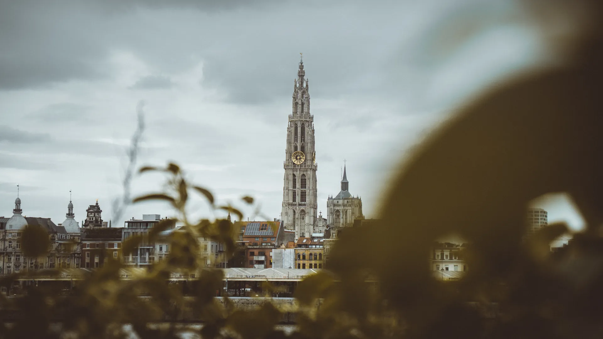 Guía Erasmus en Amberes