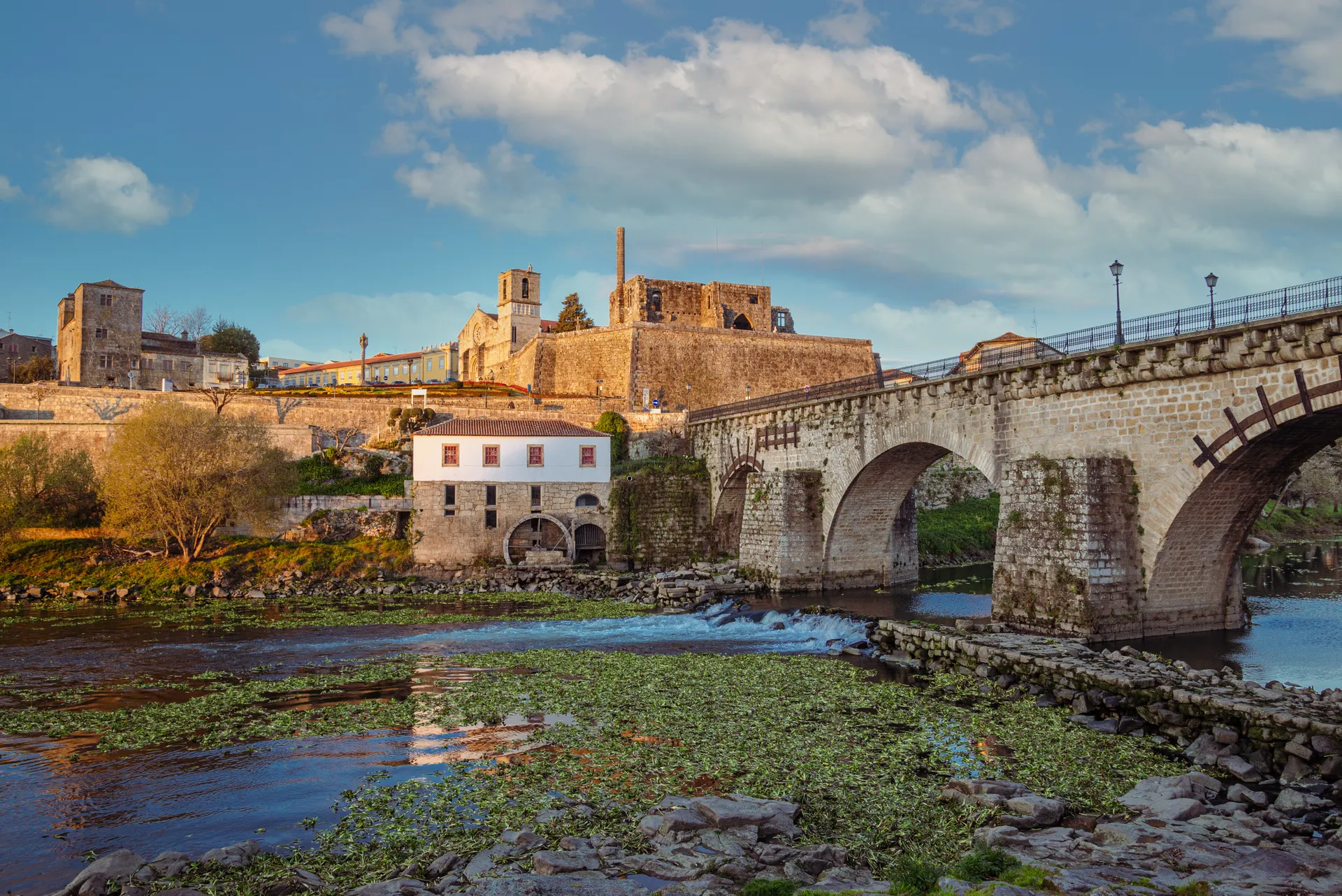 Erasmus a Barcelos