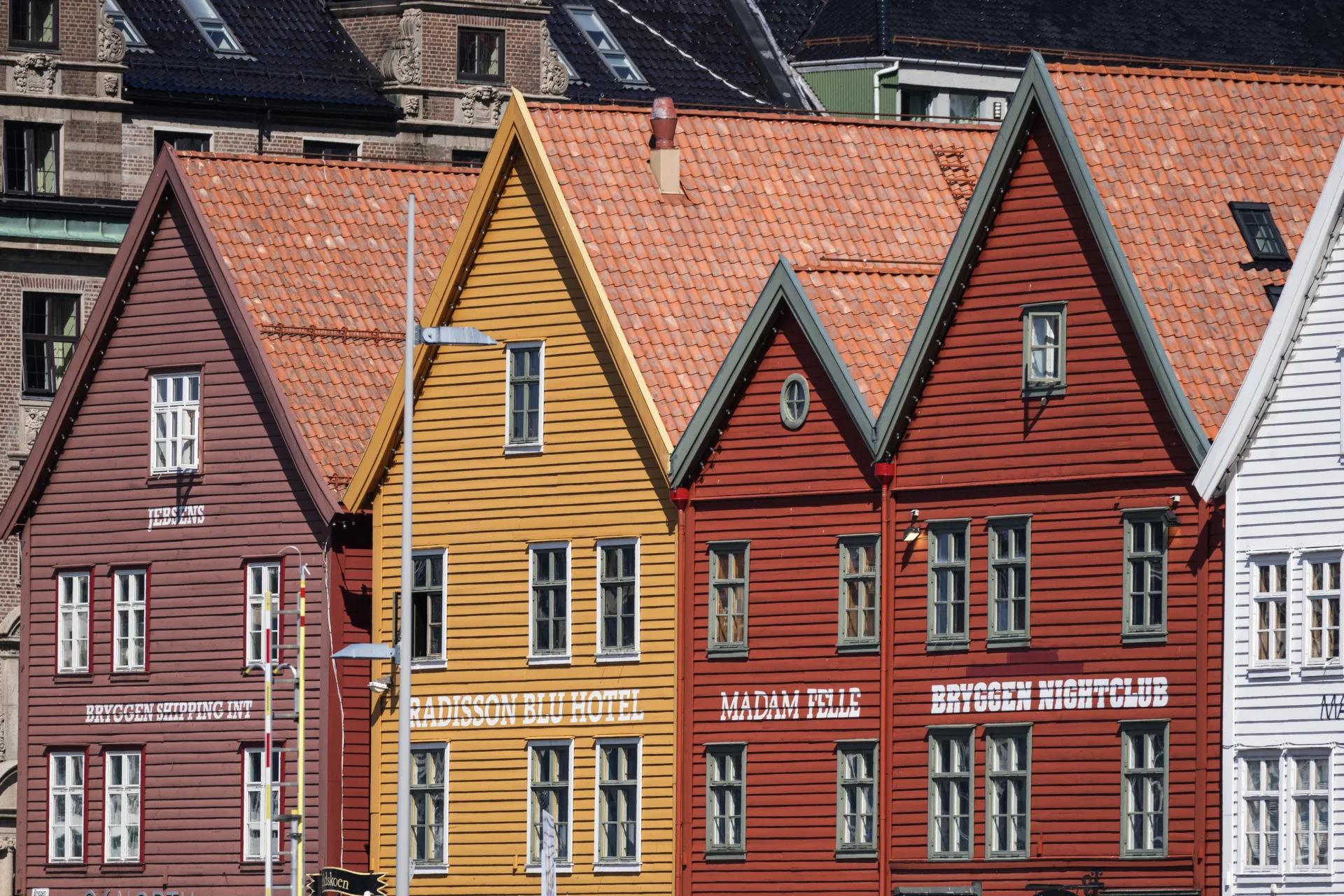 Erasmus a Bergen