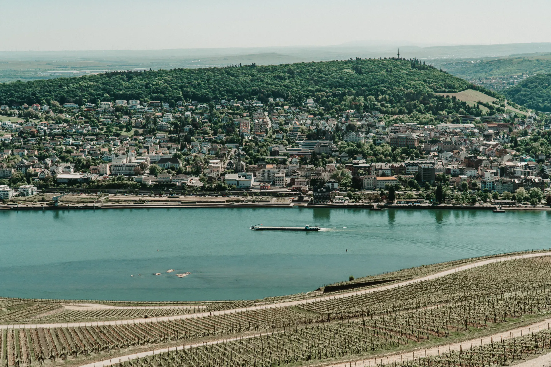 alojamiento erasmus Bingen am Rhein