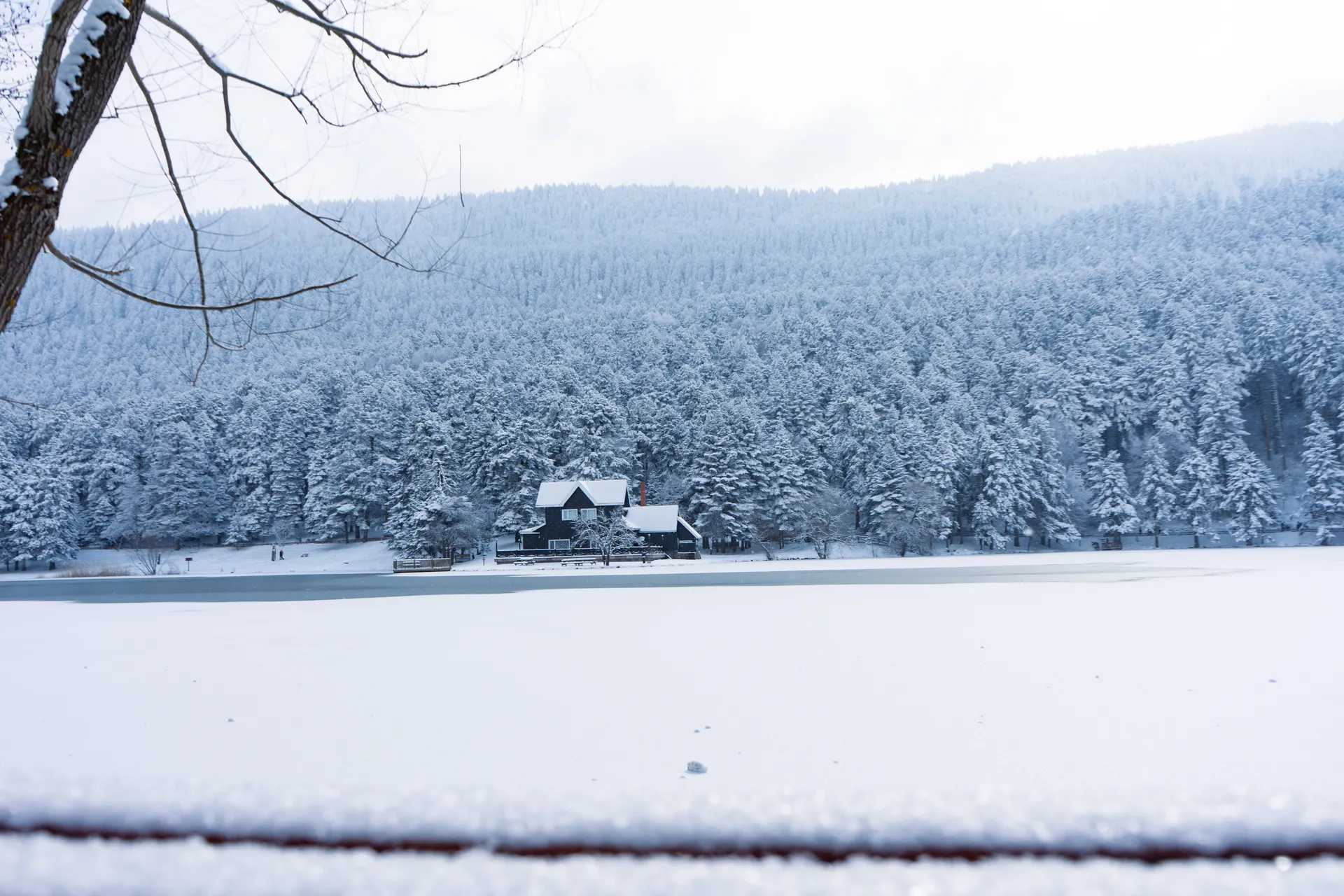 Erasmus a Bolu