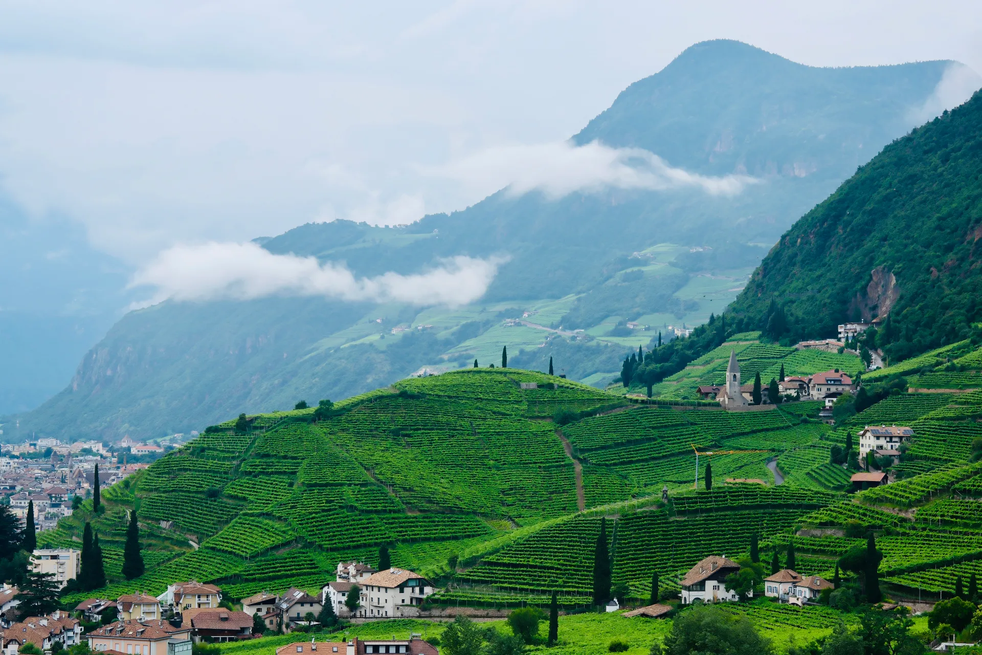 Erasmus en Bolzano