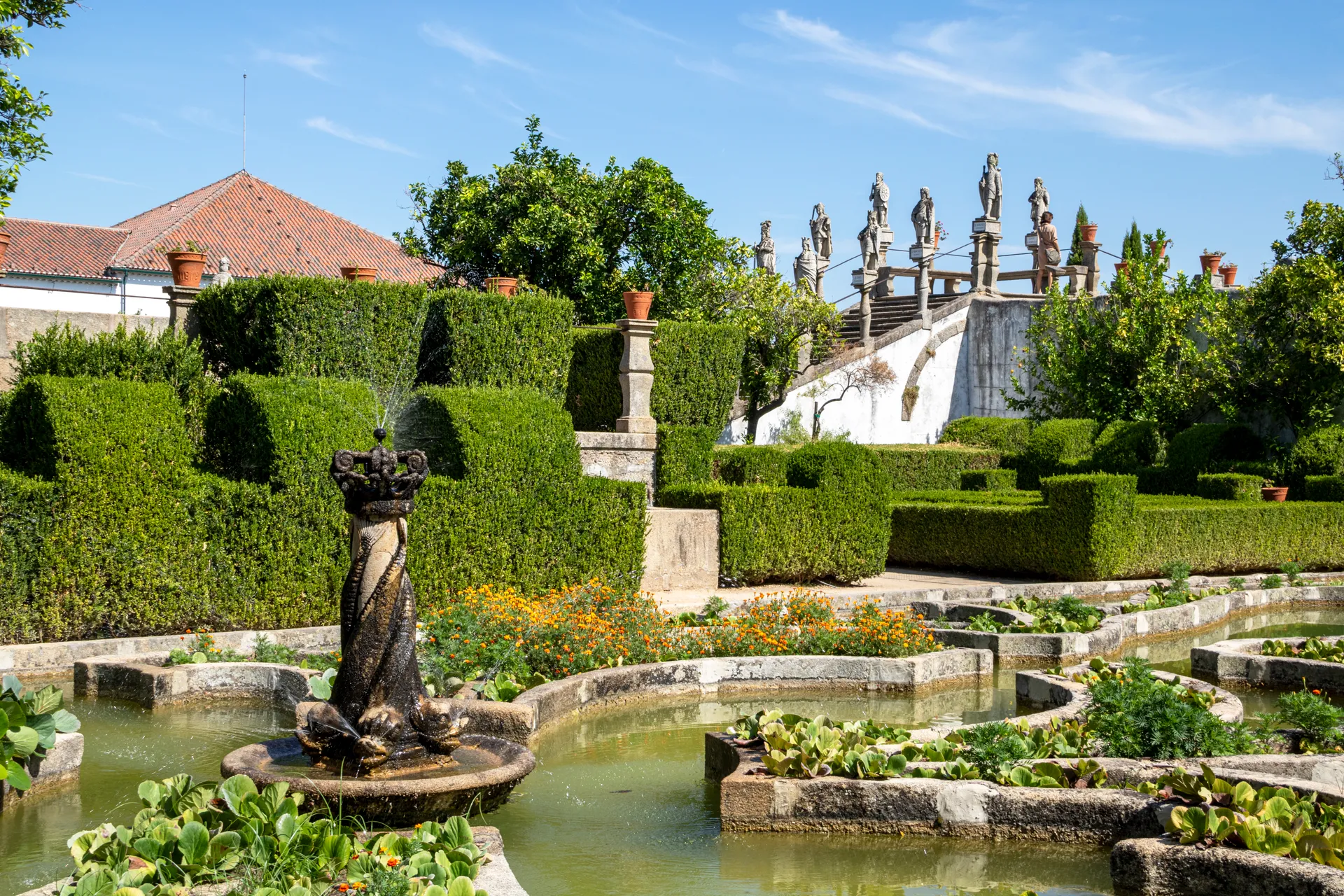 Erasmus a Castelo Branco