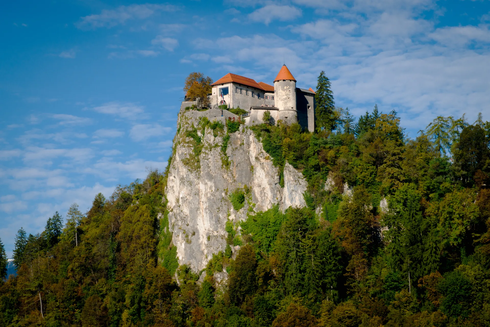 Erasmus a Celje