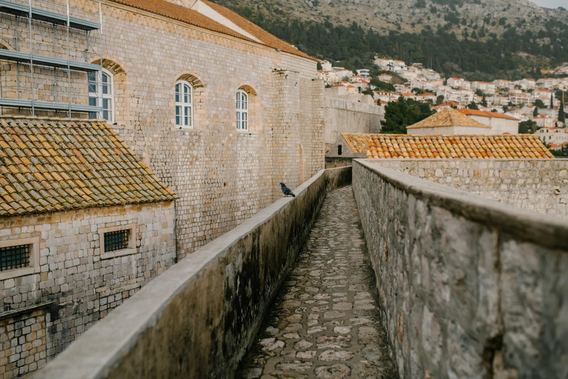 Erasmus Dubrovnik