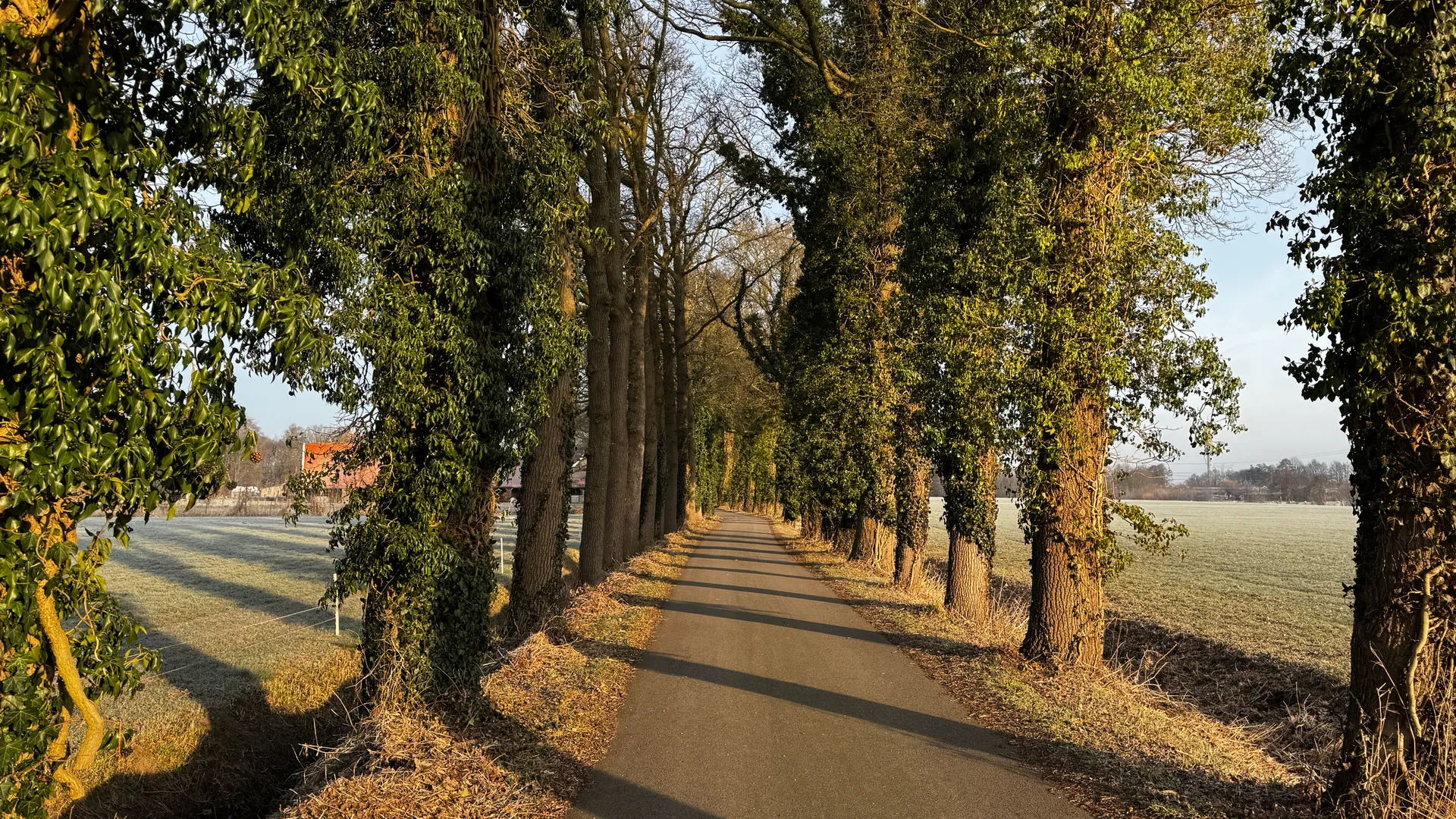 Erasmus a Enschede