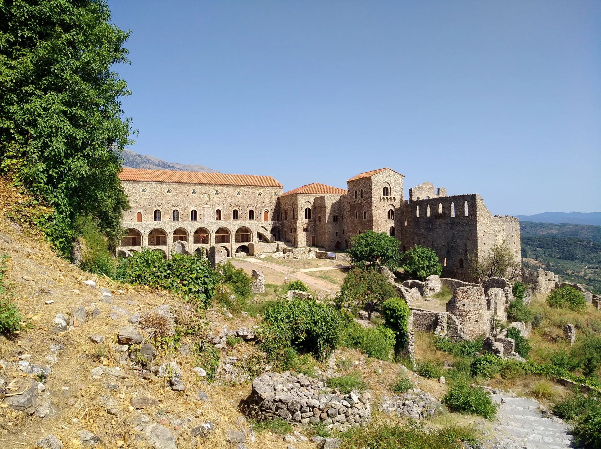 Erasmus a Sparta