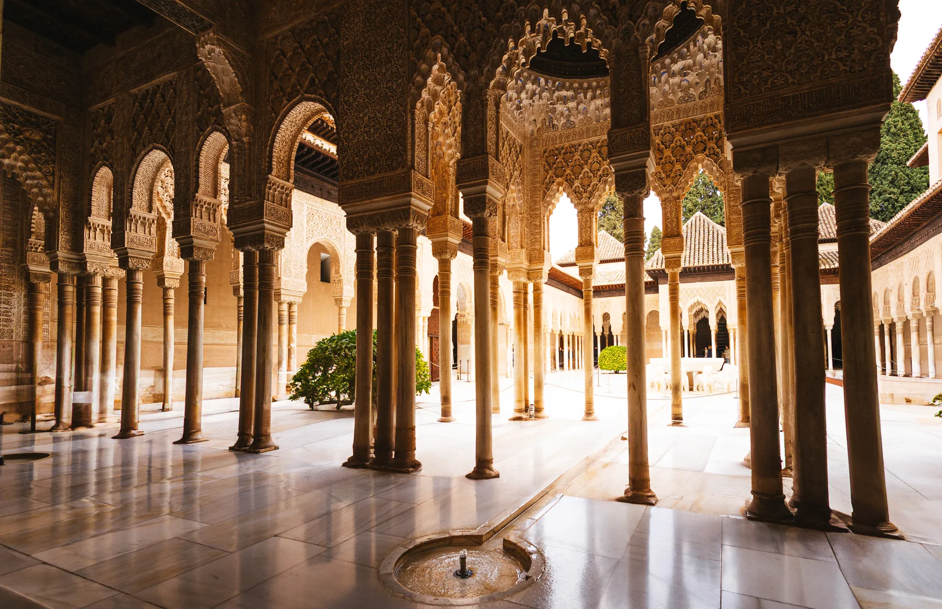Guía Erasmus en Granada