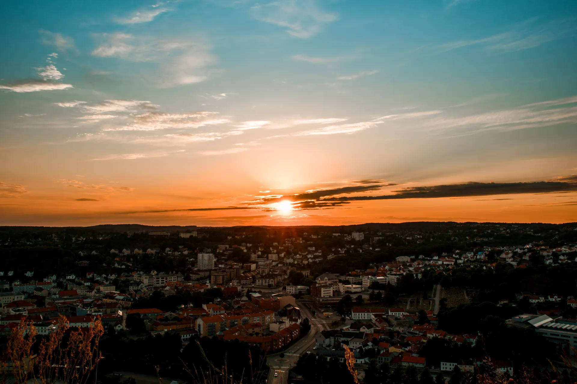 Erasmus a Halden