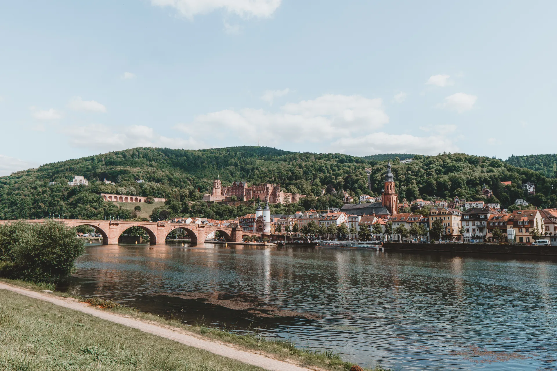 Erasmus a Heidelberg