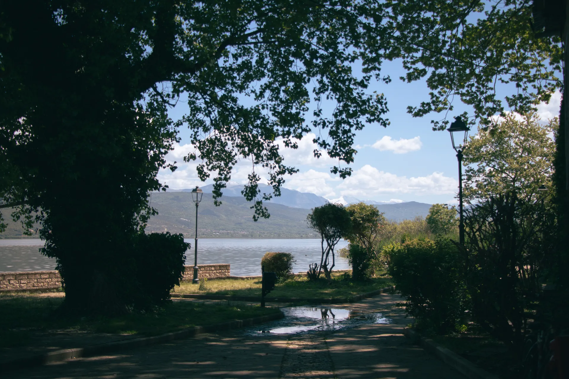 Erasmus a Ioannina