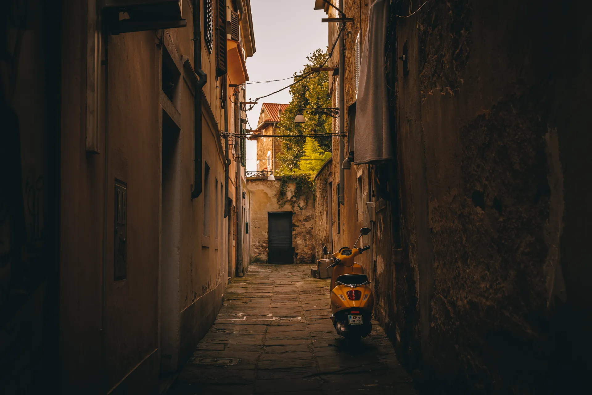 Erasmus Capodistria