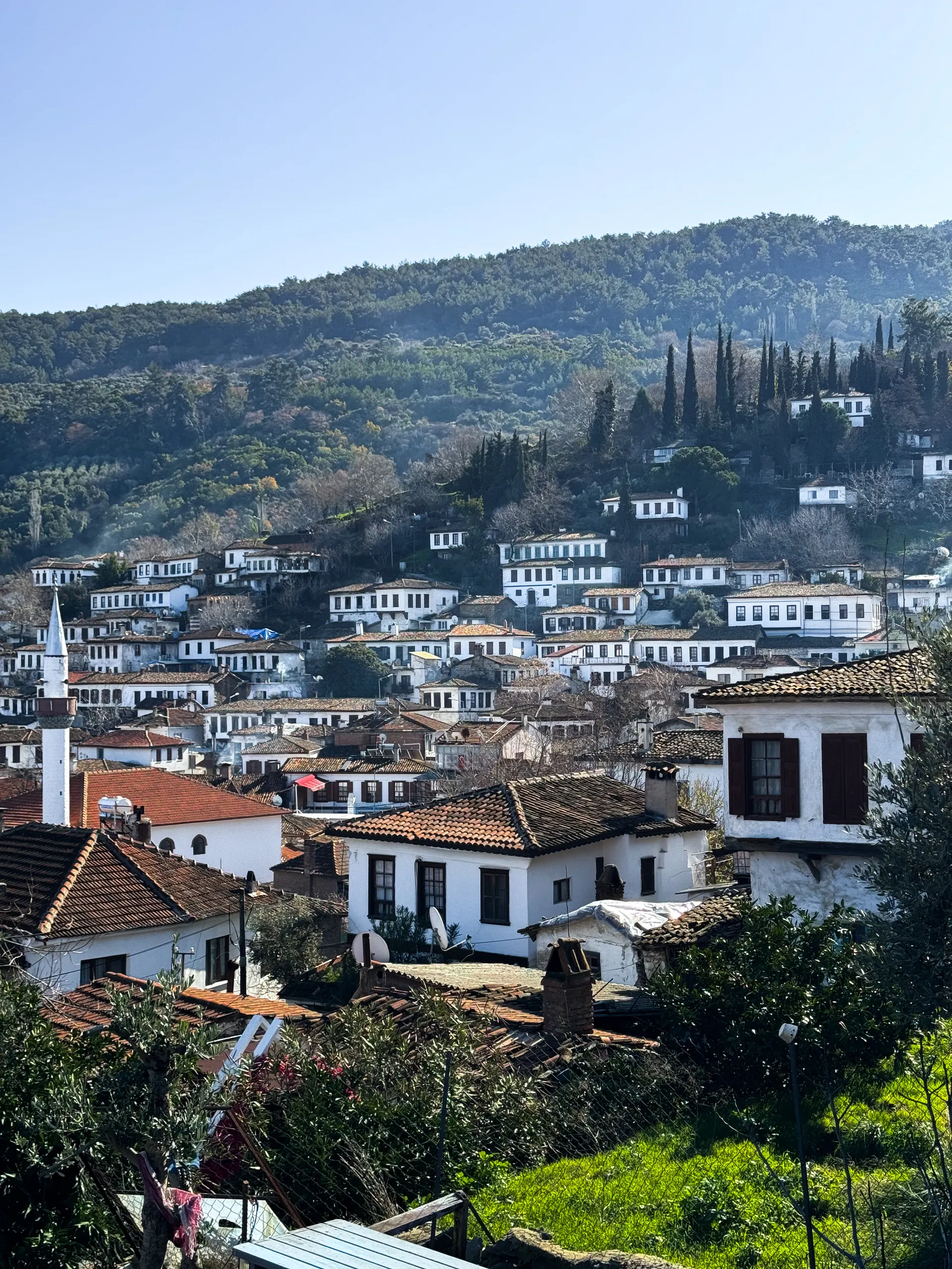 Erasmus a Kütahya
