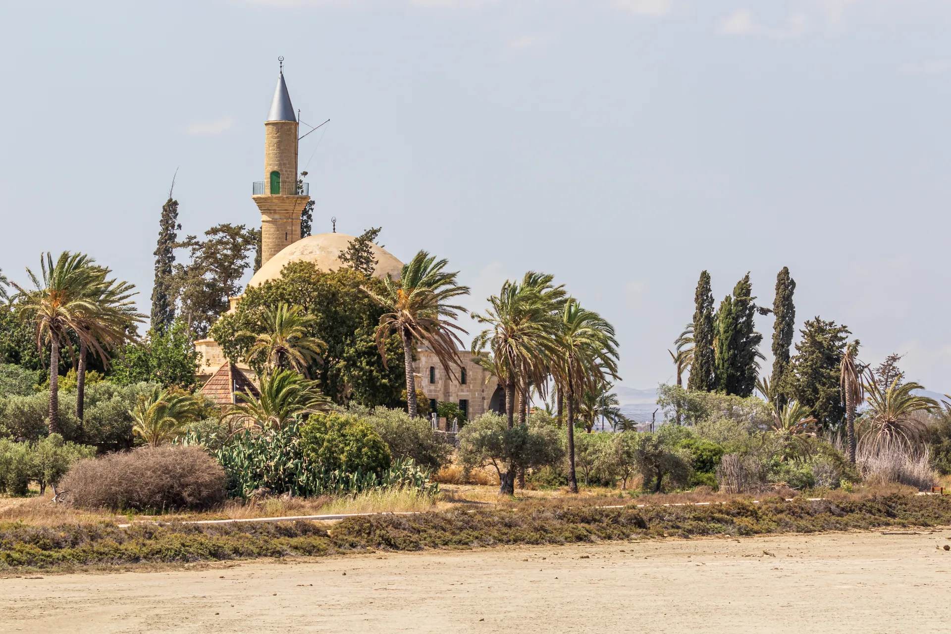 Erasmus a Larnaca