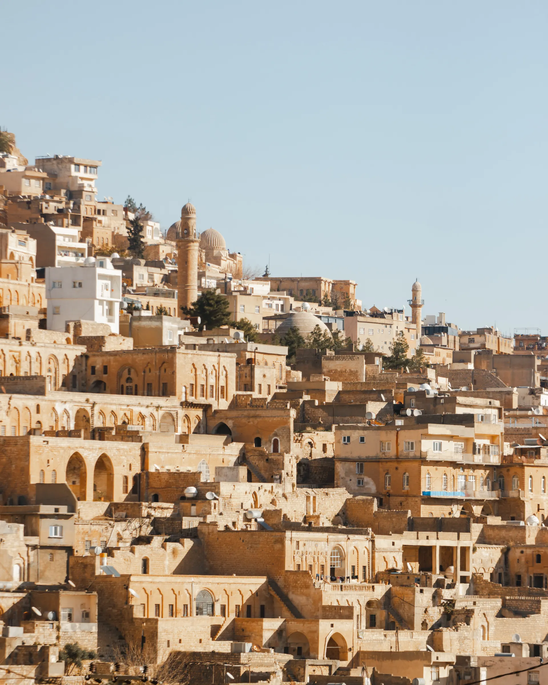 Erasmus a Mardin