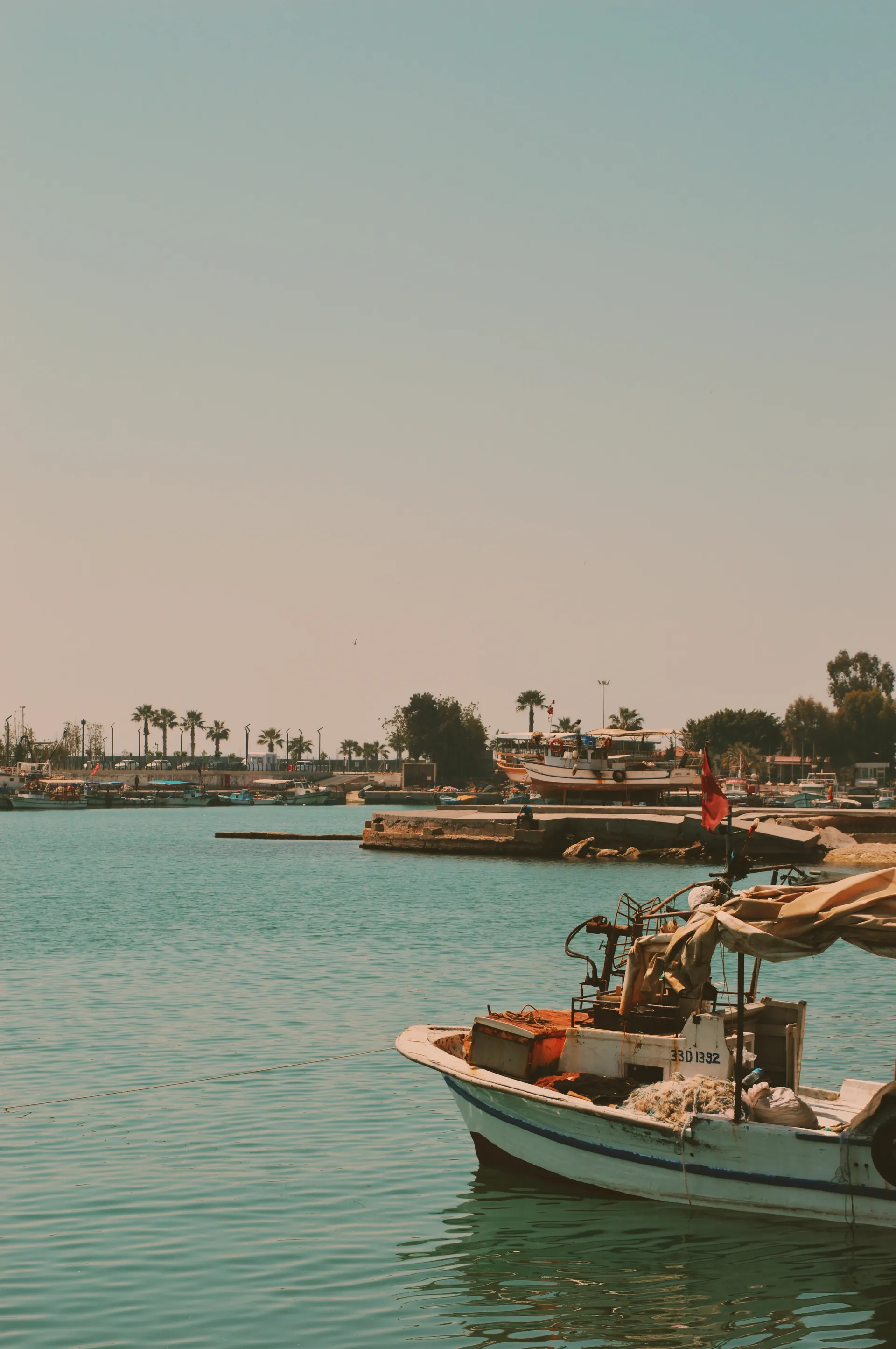Erasmus a Mersin