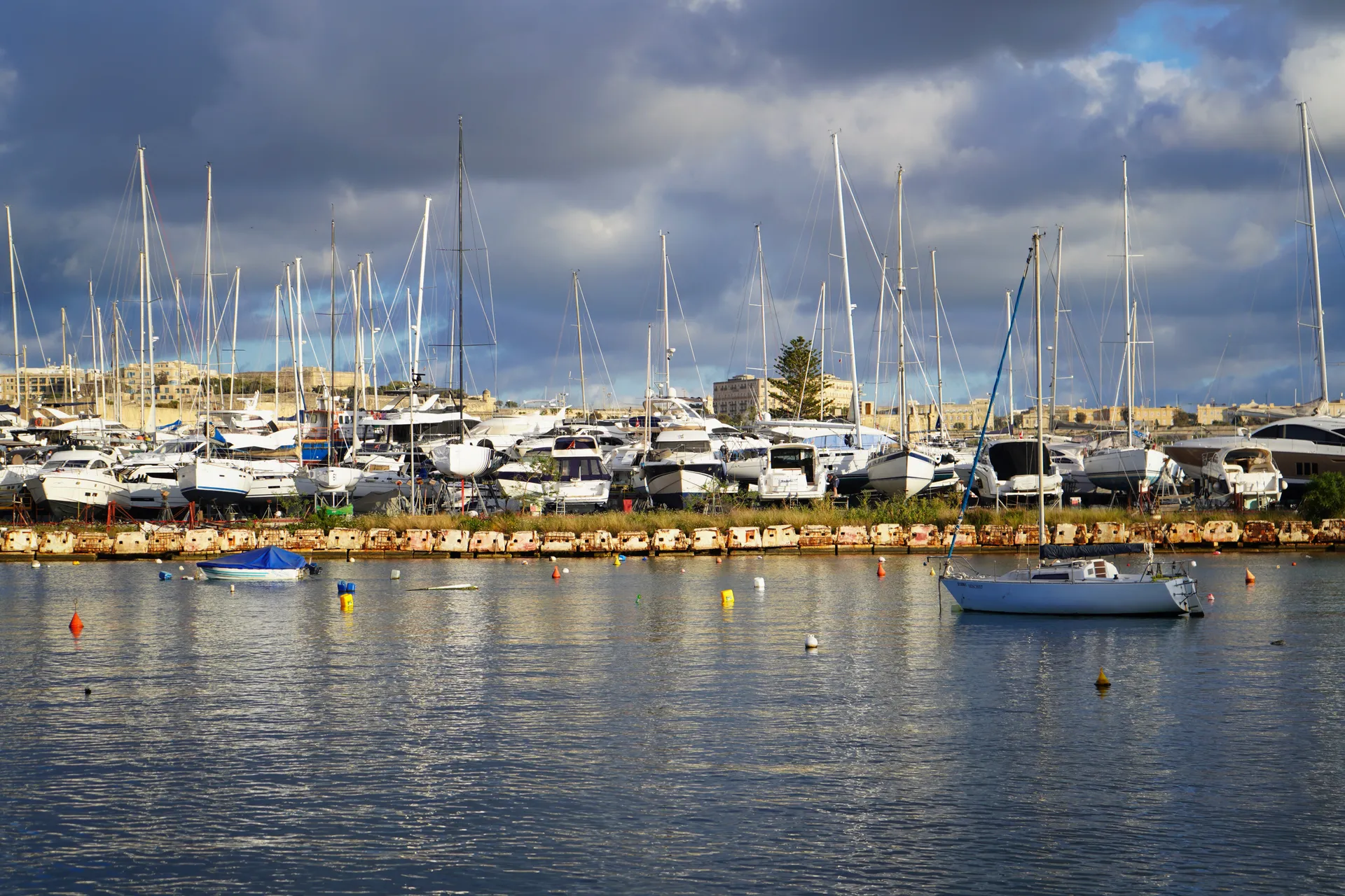 Erasmus a Msida