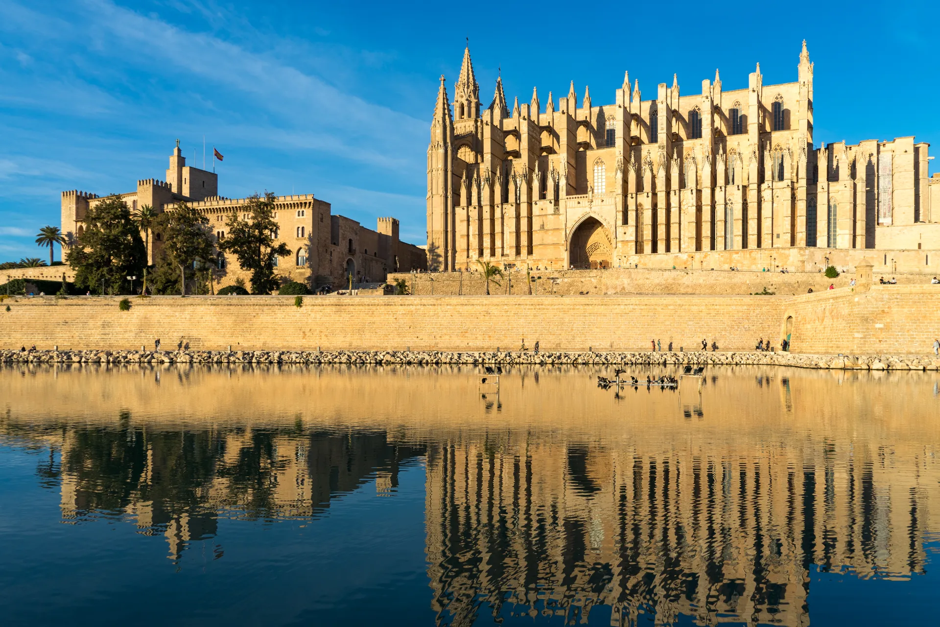 Erasmus a Palma di Maiorca