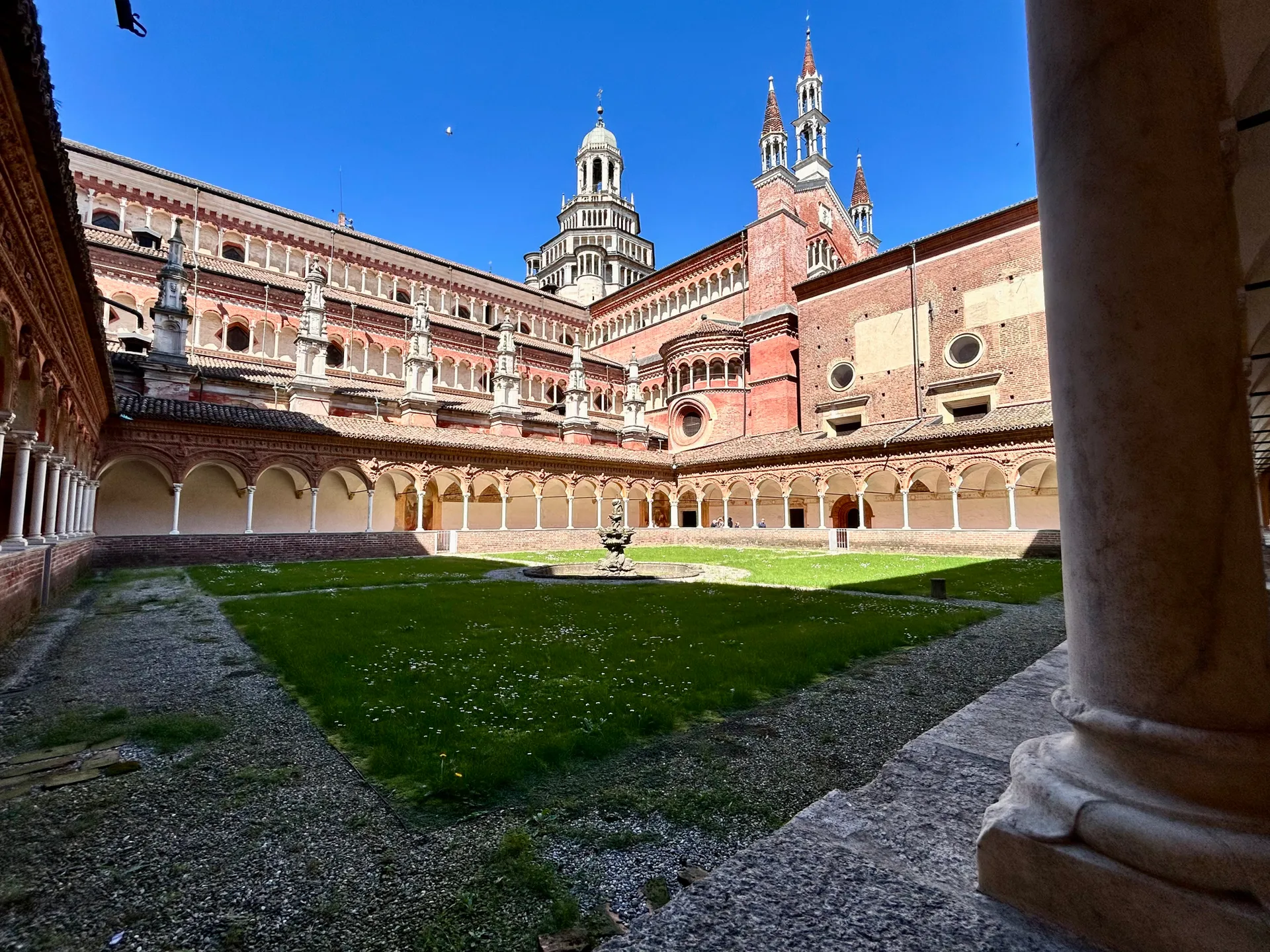 Erasmus en Pavía