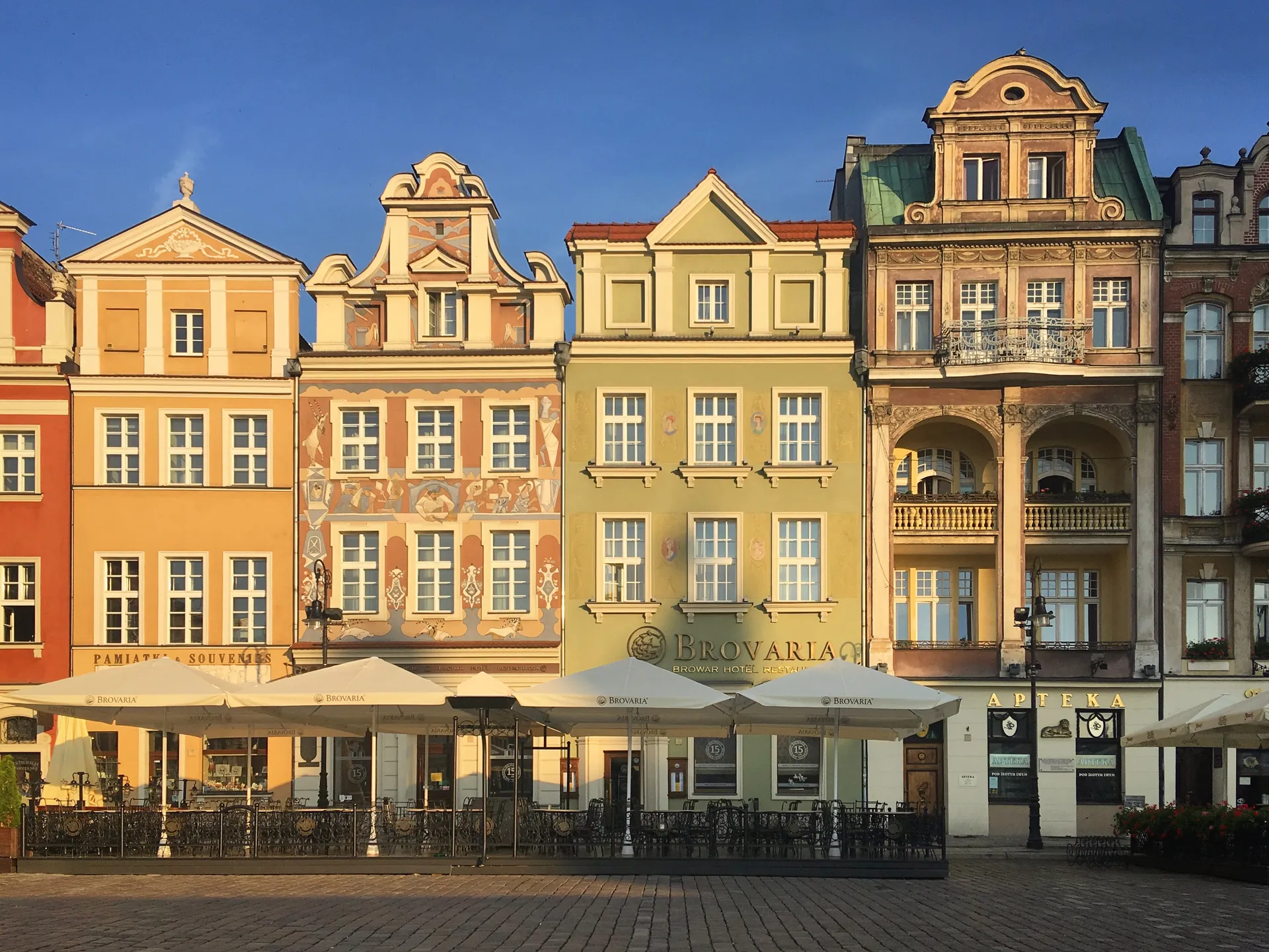 Erasmus a Poznań