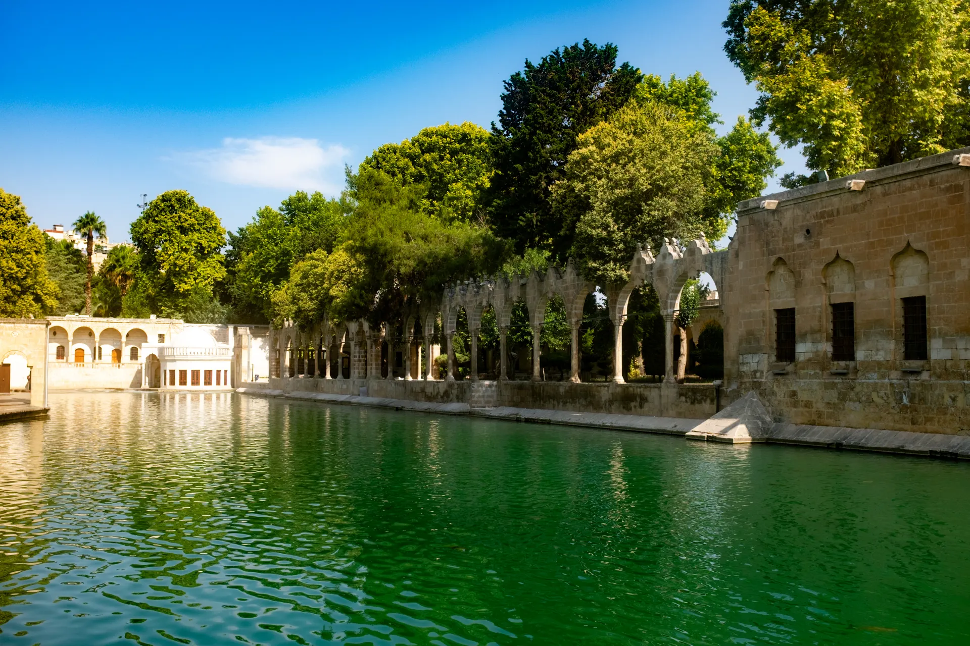 Erasmus a Şanlıurfa