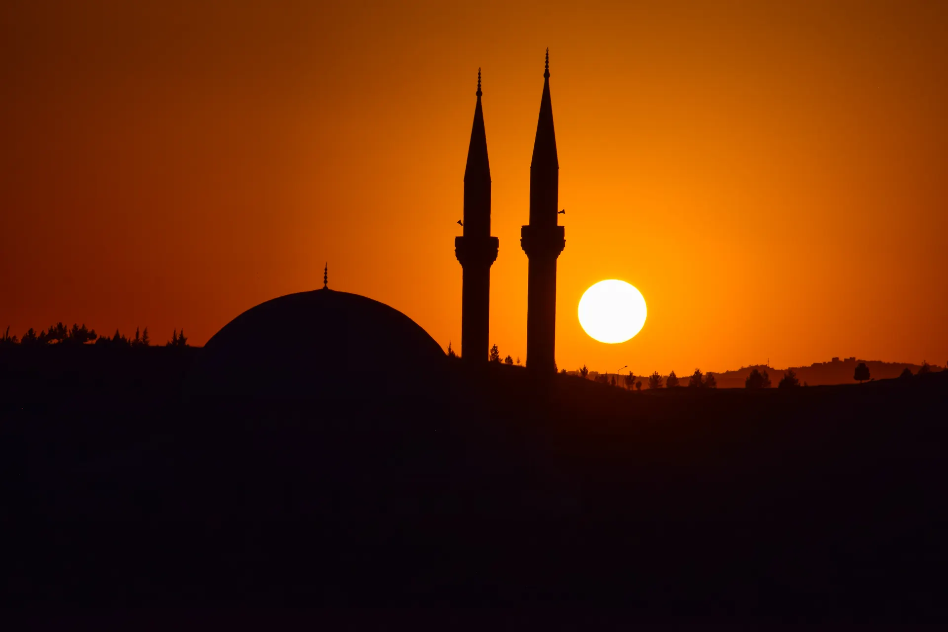 Erasmus a Siirt