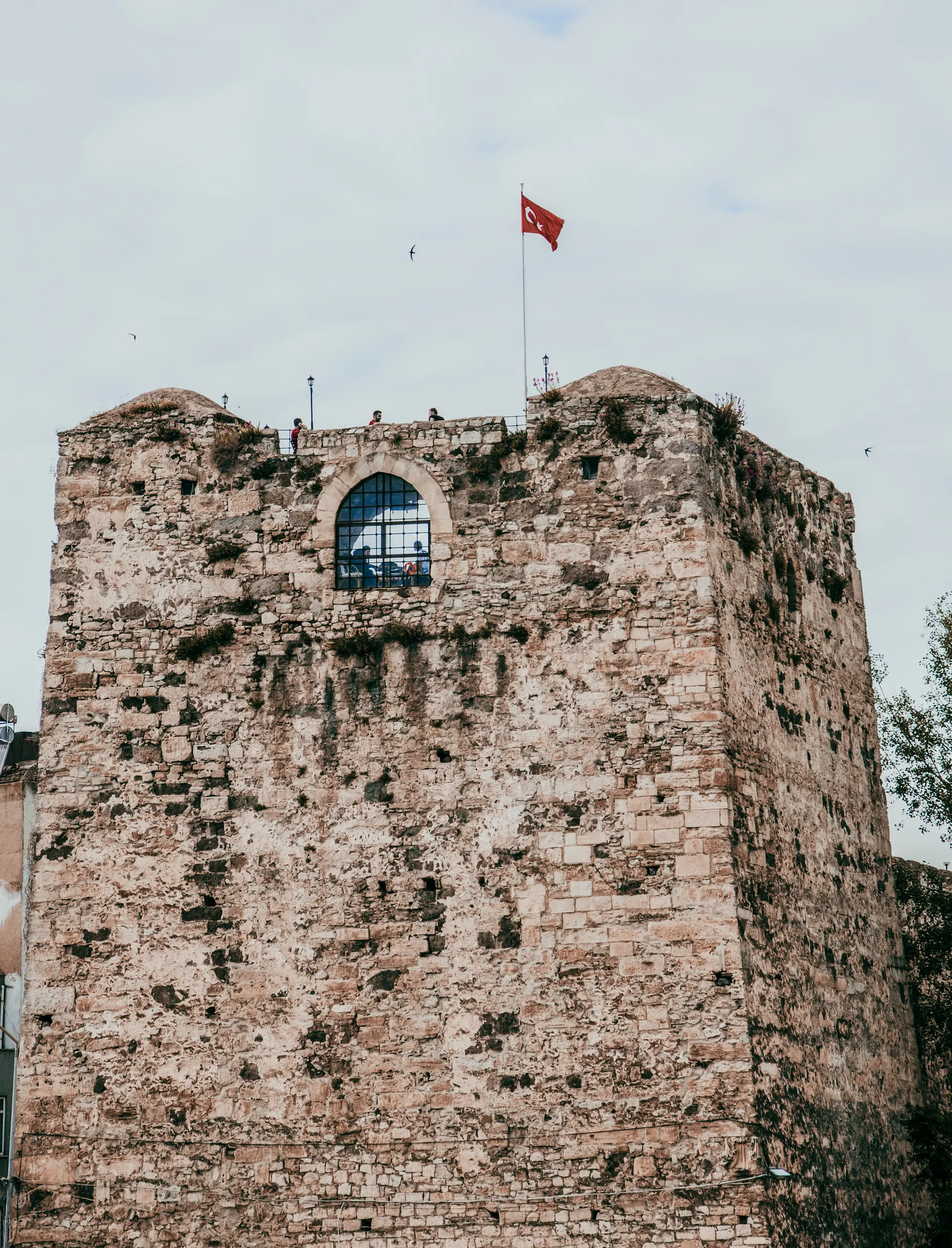 Erasmus a Sinop
