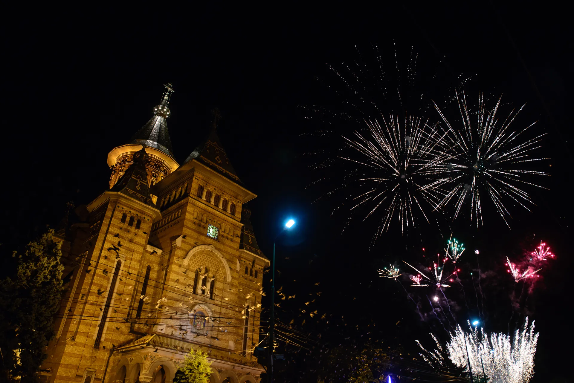Erasmus a Timișoara