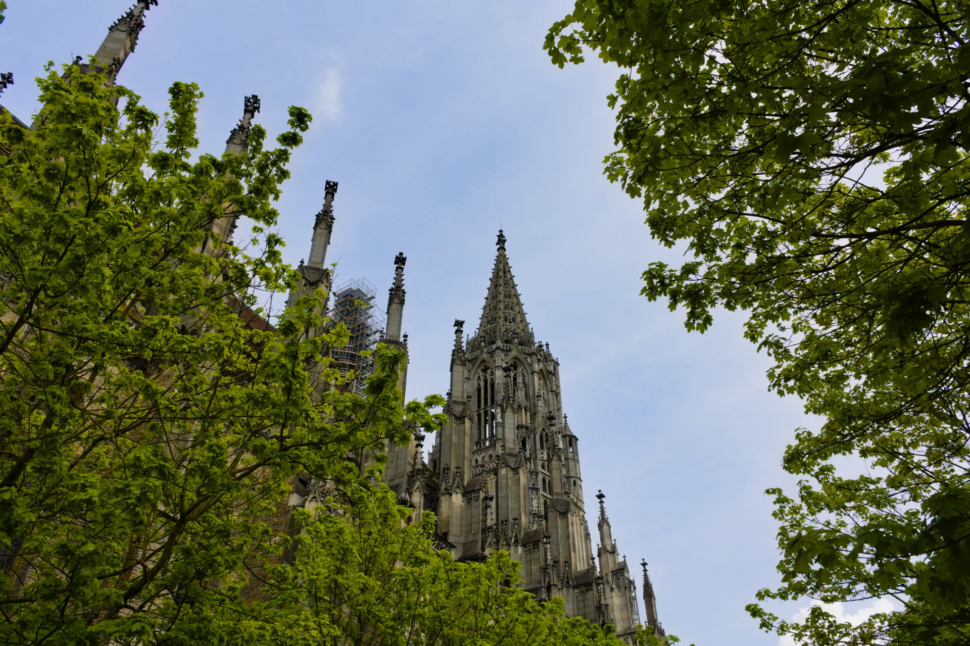 Erasmus a Ulm