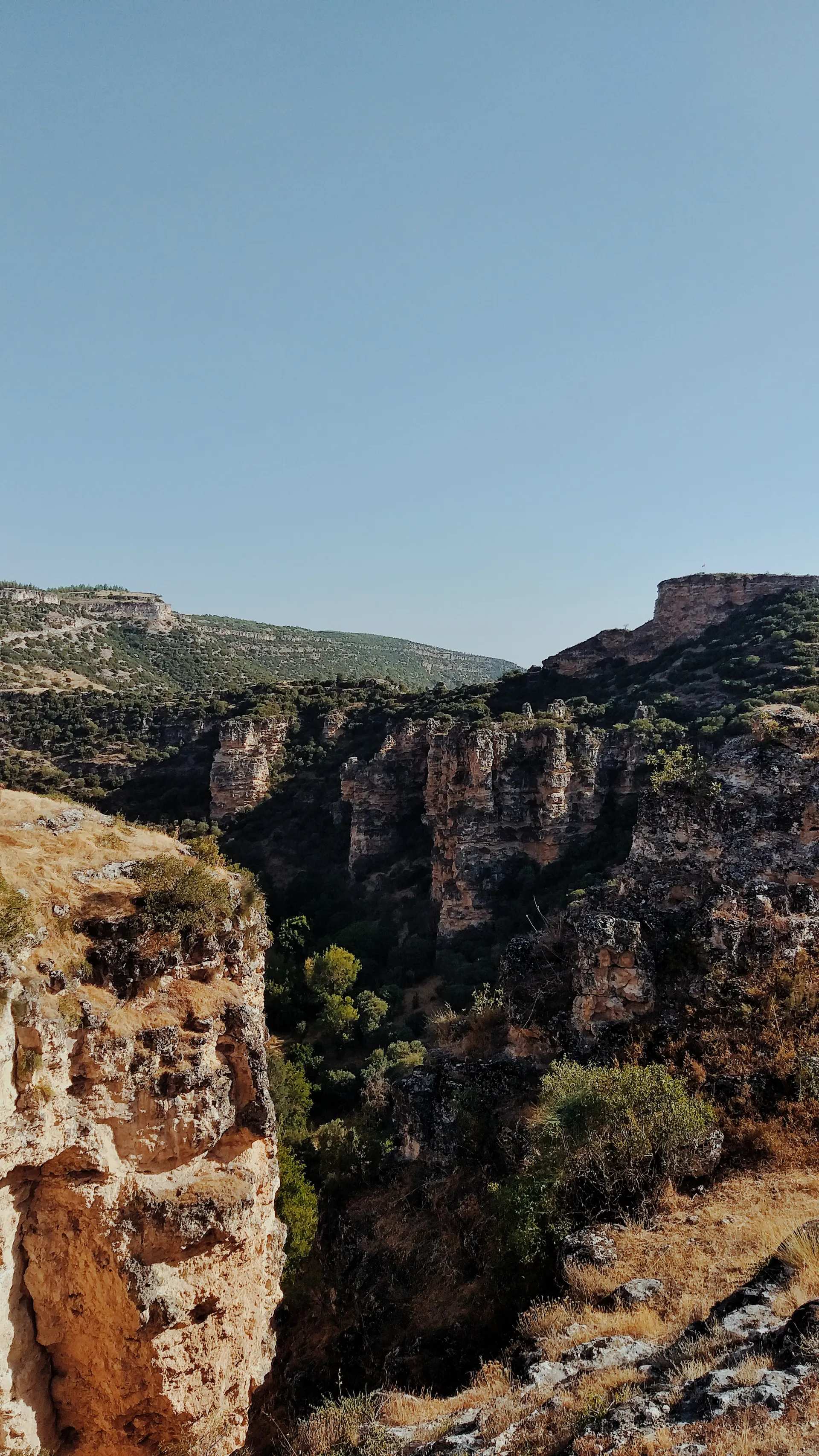 Erasmus a Uşak