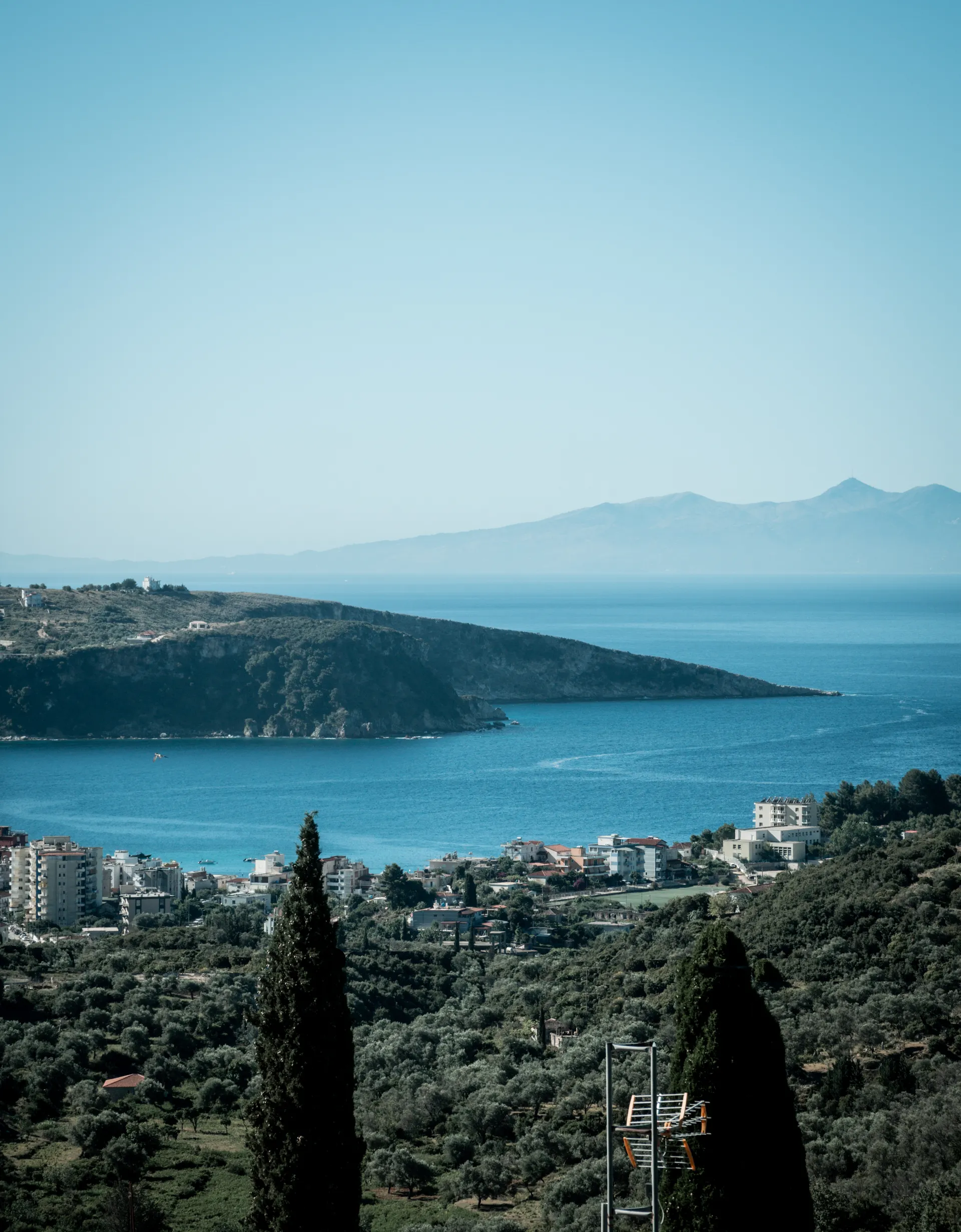 Erasmus a Valona
