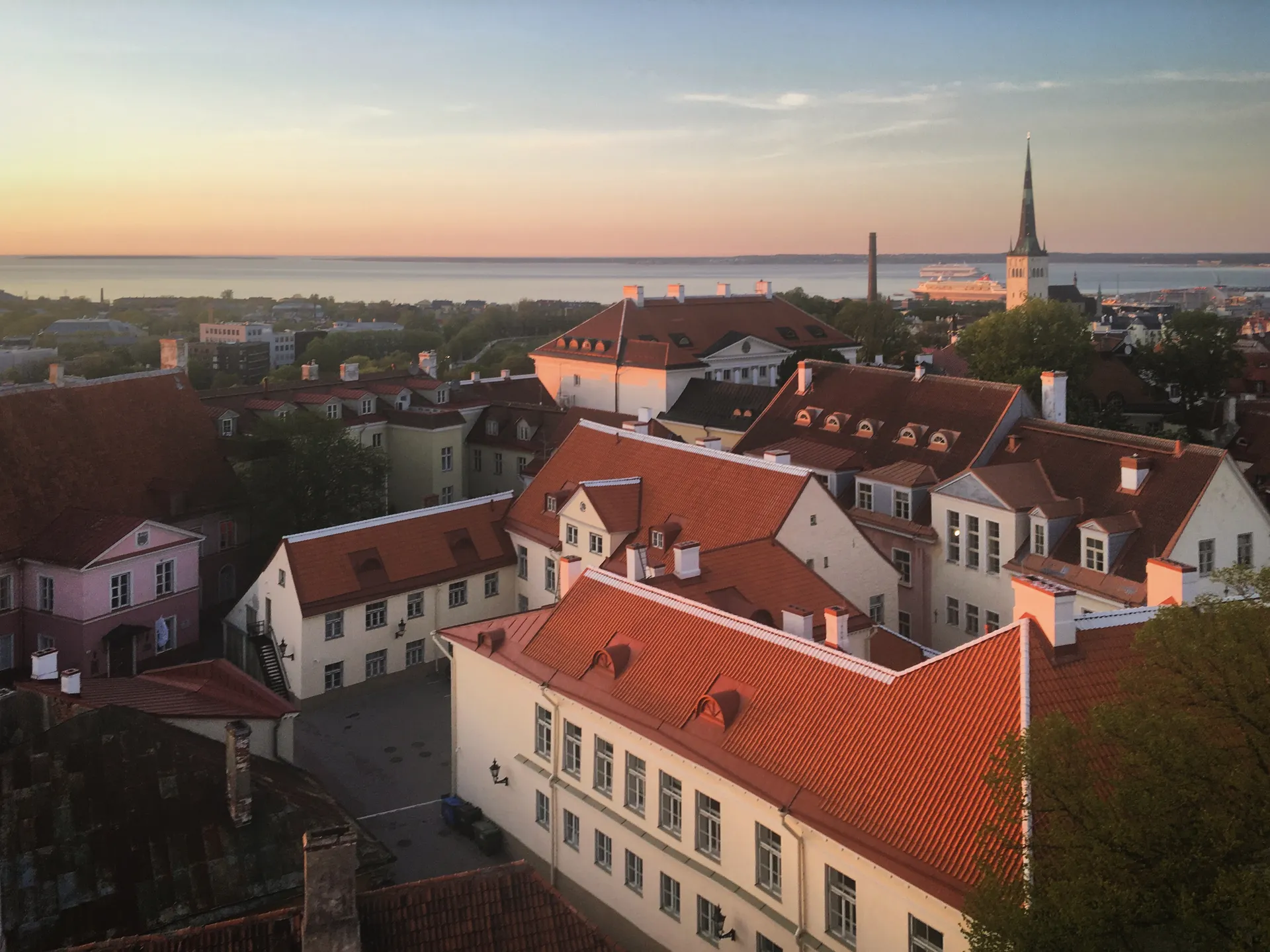 Guía de Erasmus en Estonia